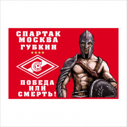 Флаг Спартак Губкин на флажной сетке